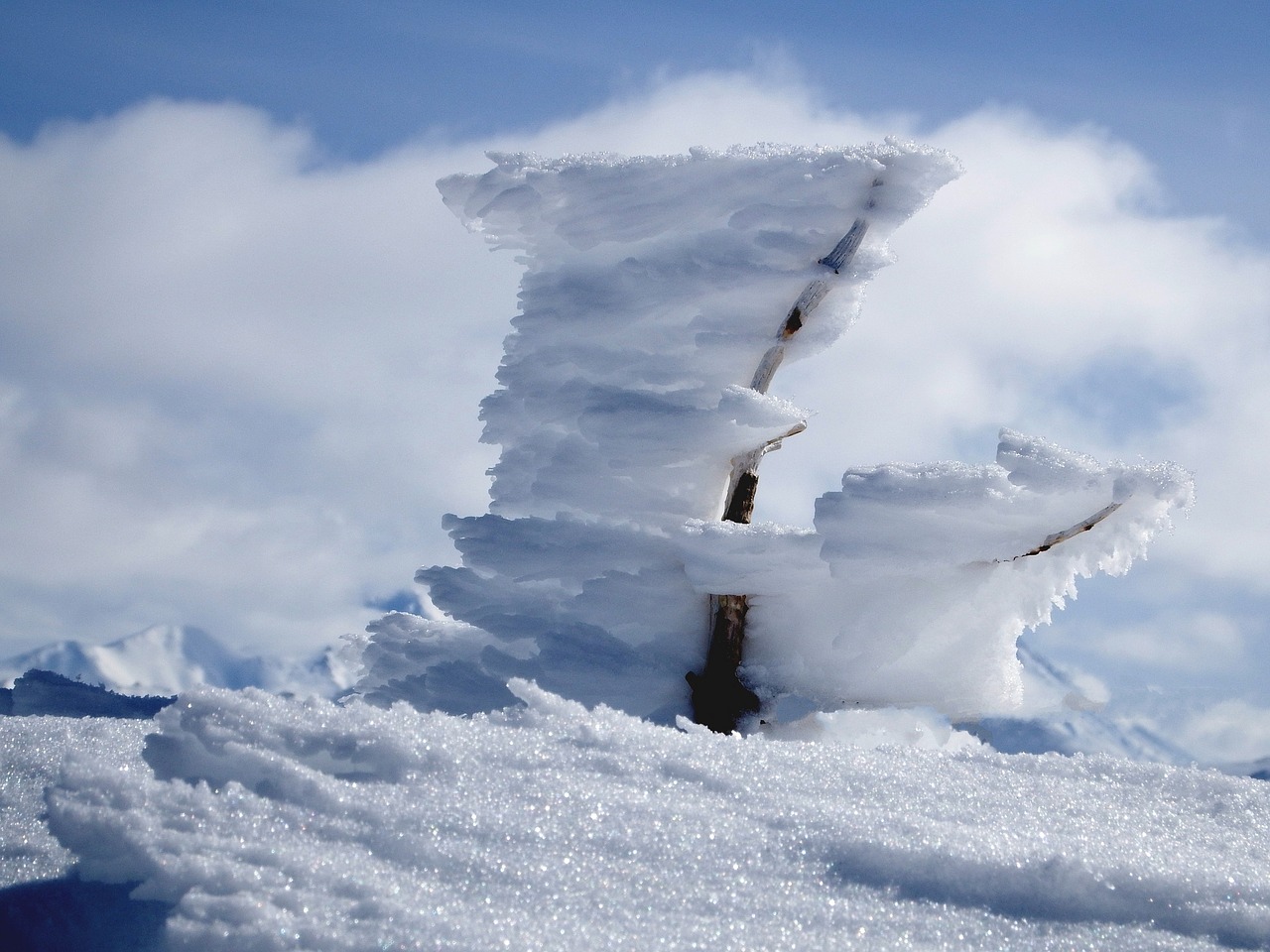 Image - winter snow mountains branch