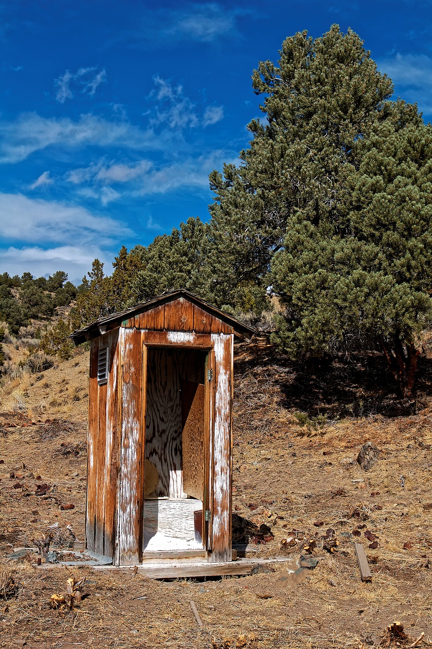 Image - nevada usa ione leave ghost town