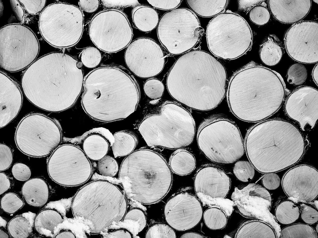 Image - log wood finland trunk cup