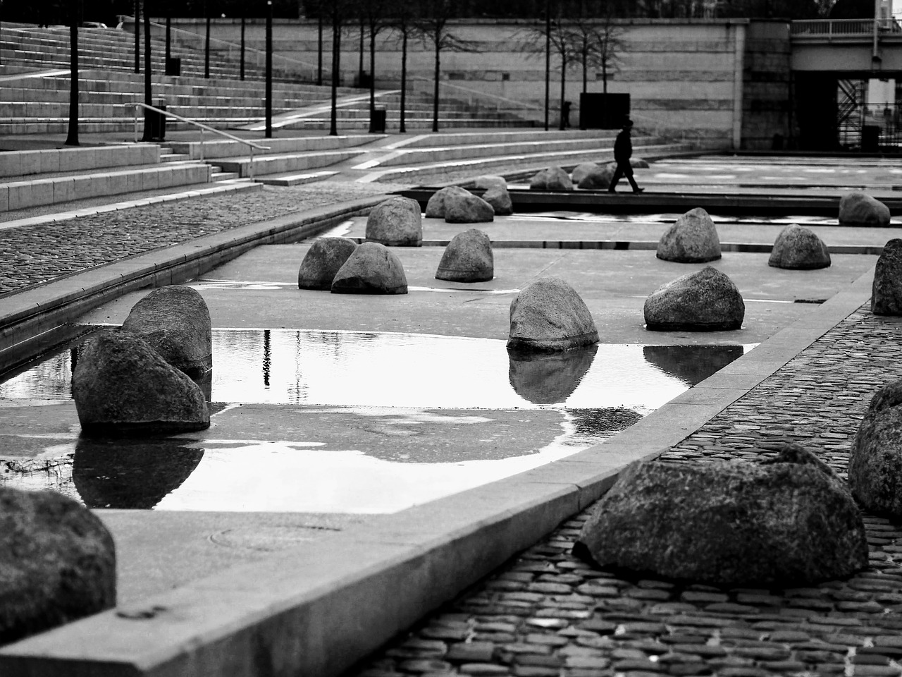 Image - lyon quai augagneur market pierre
