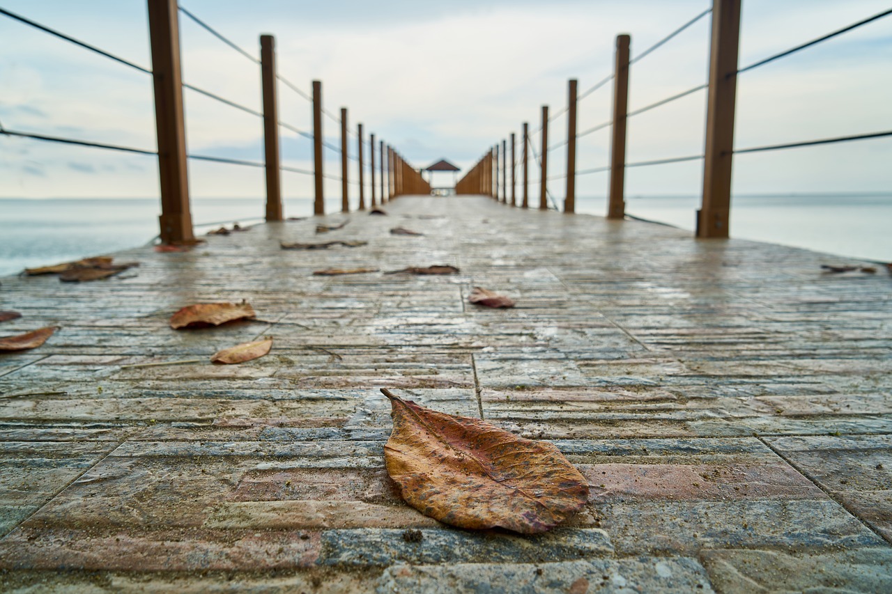Image - leaves landscape bridge iskele