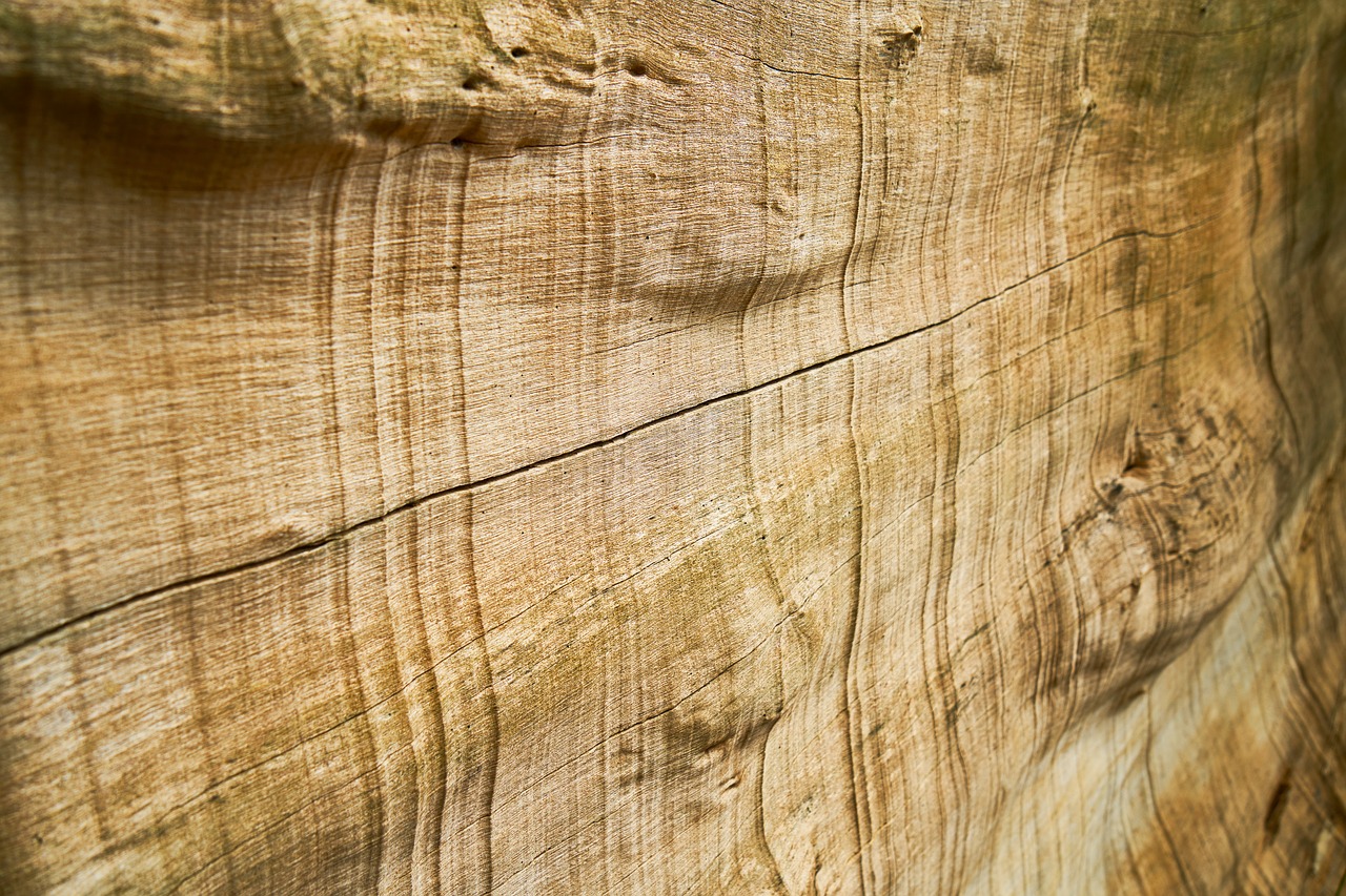 Image - wood texture pattern brown macro