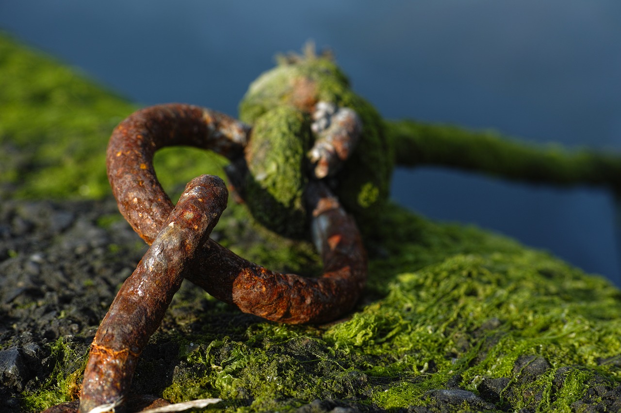 Image - chain daniel rusty old marine
