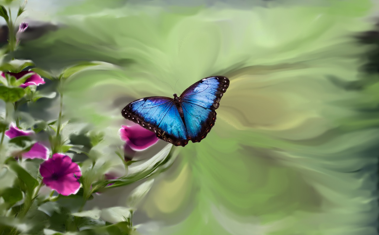 Image - blue butterfly petunia garden green