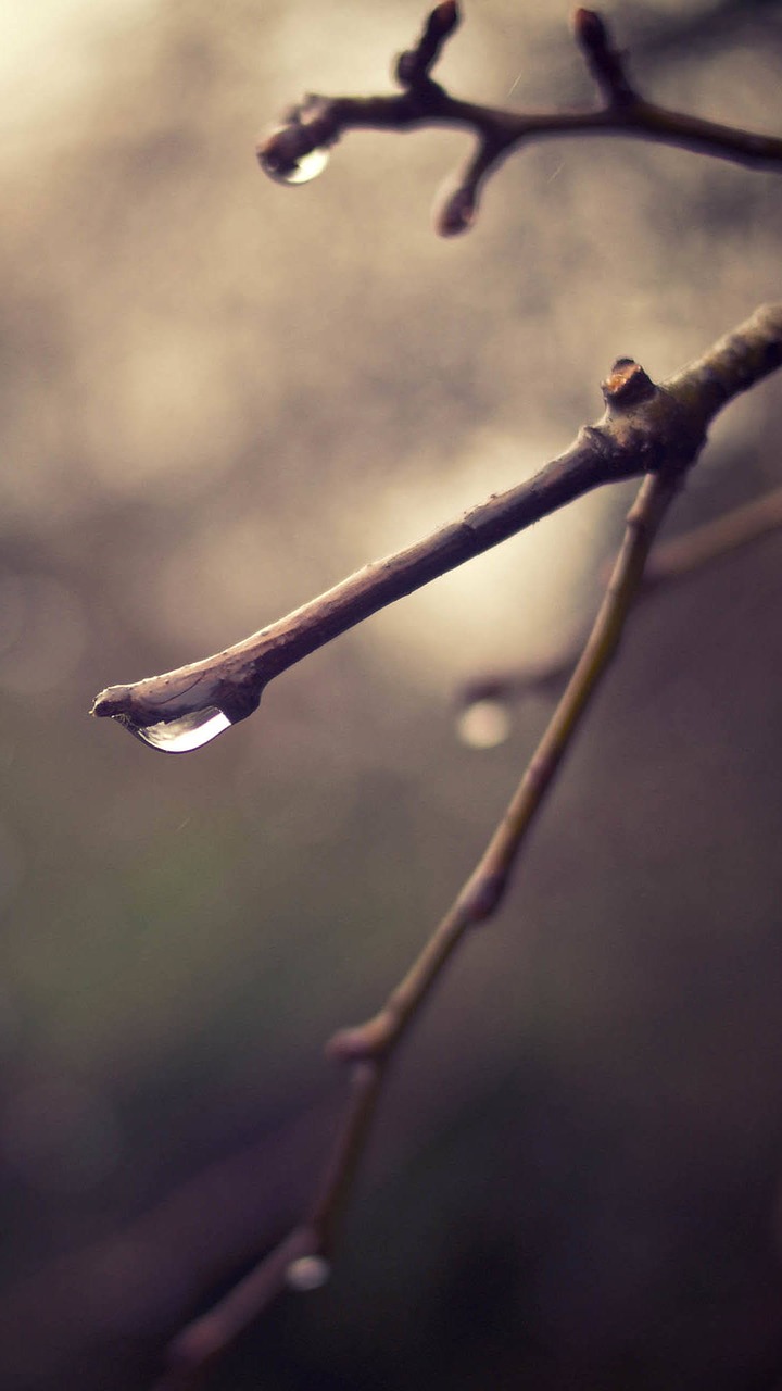 Image - serenity quiet simple and elegant