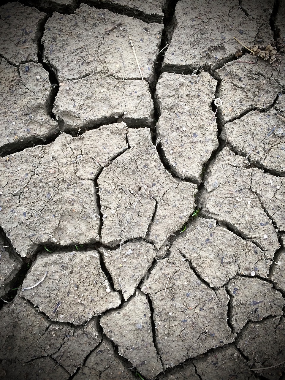 Image - mud dried soil earth