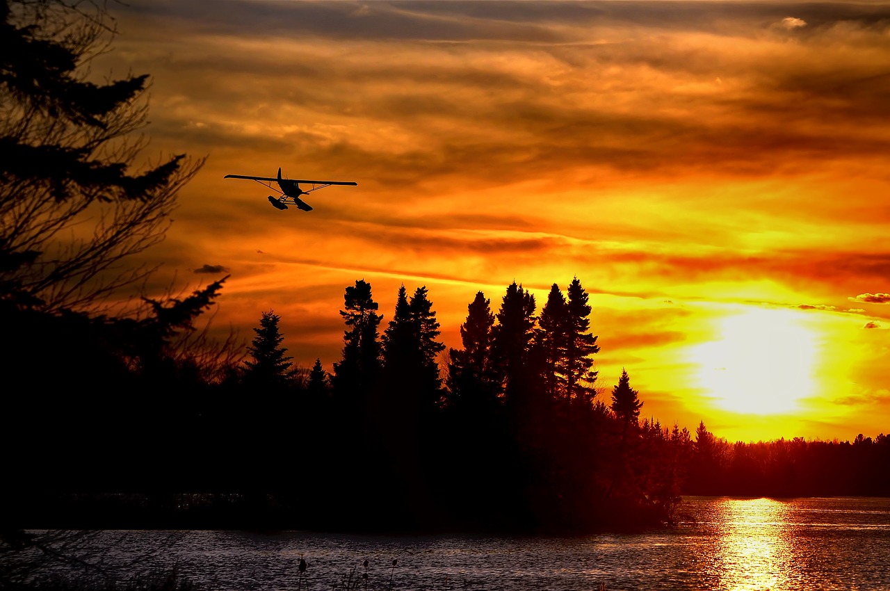 Image - seaplane sunset trees landscape