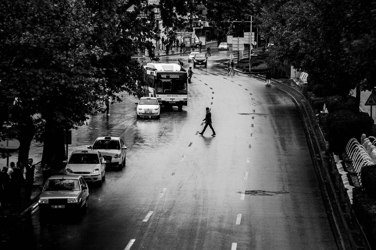 Image - street avenue traffic man human