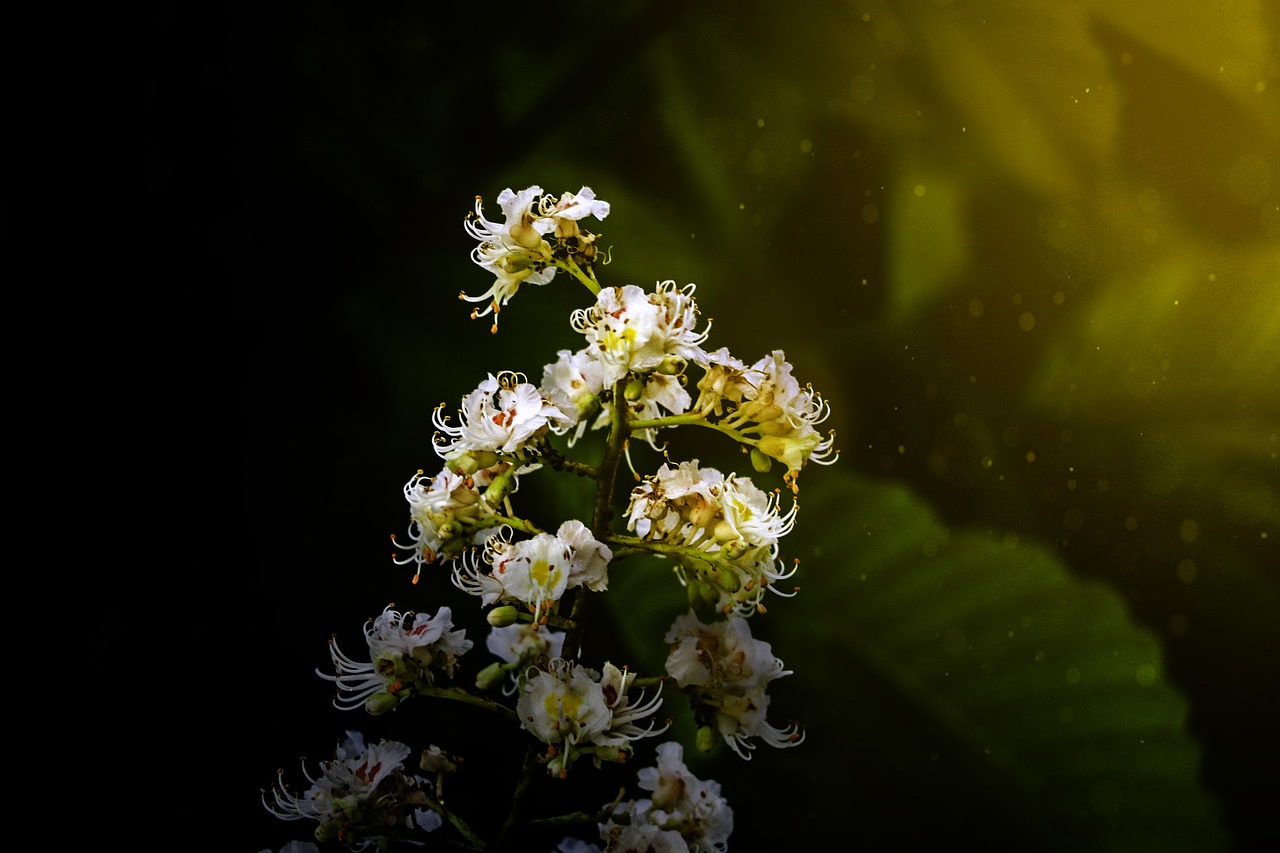 Image - flowers visual composer light