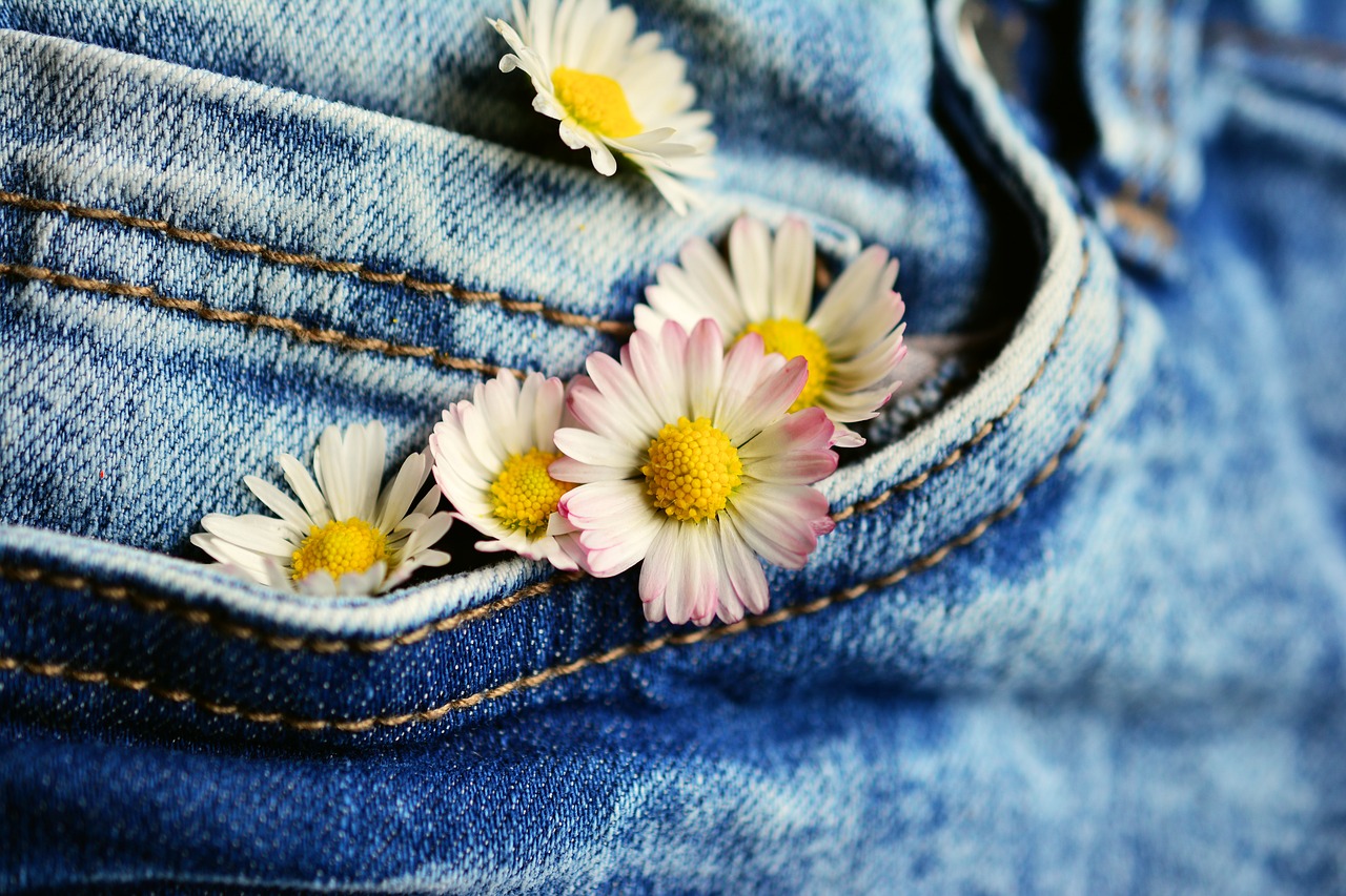 Image - pocket daisy jeans flowers textile