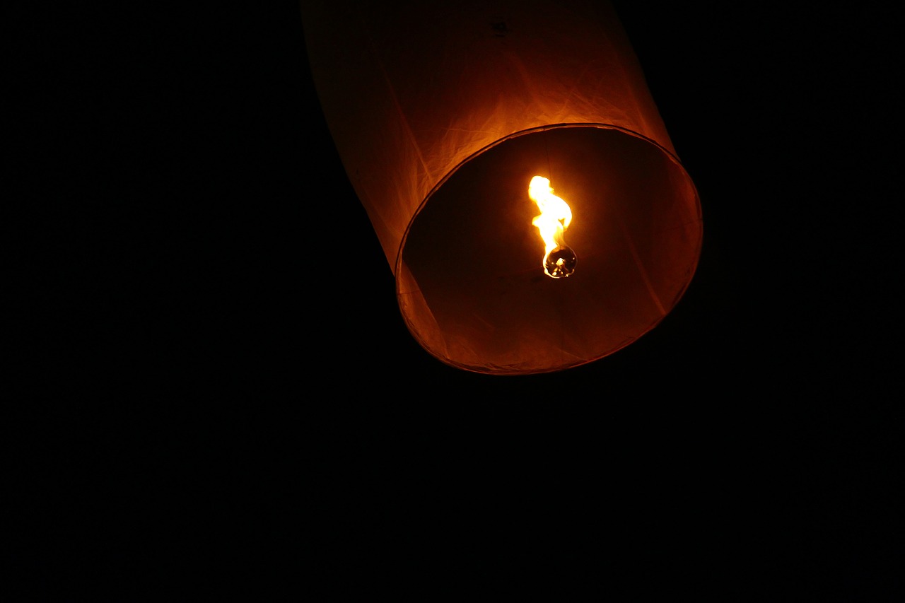 Image - vesak lantern borobudur light