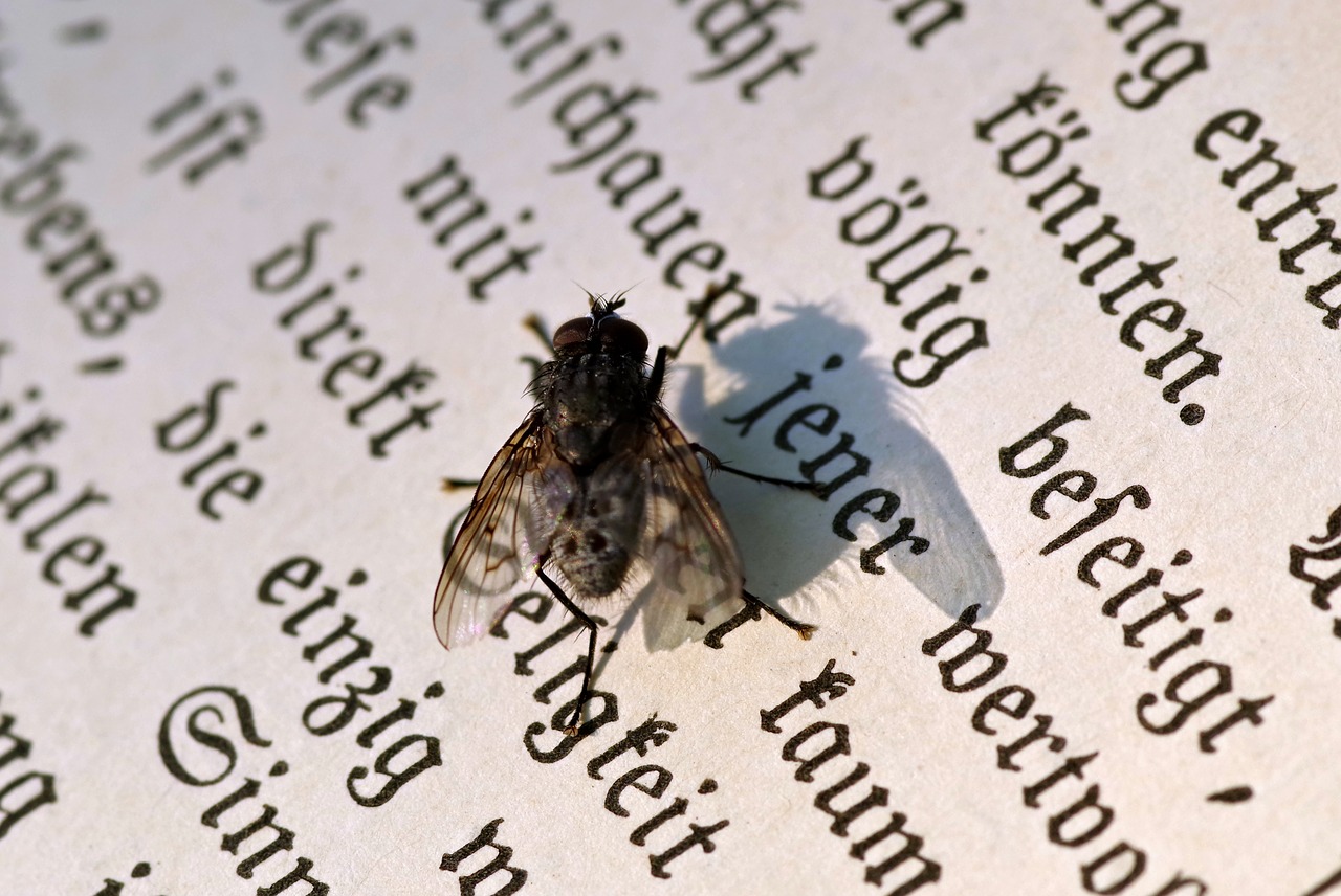 Image - mucha insect bother read text