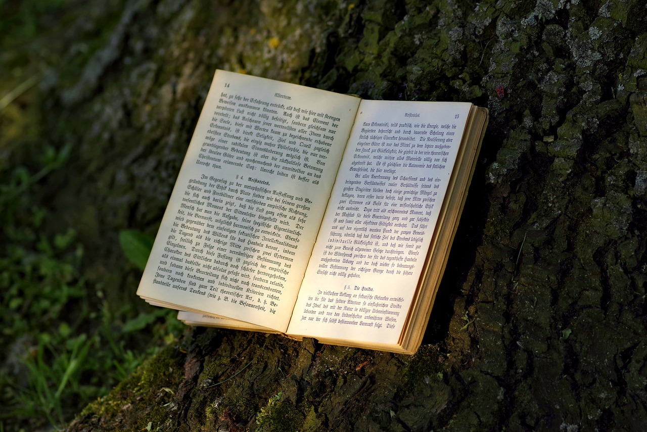 Image - book read park old writing gothic