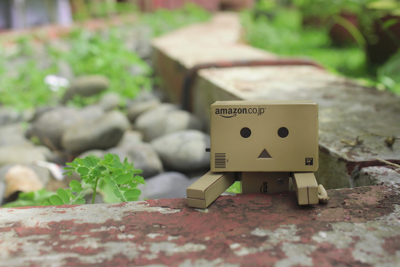 Image - looking playful danbo action figure