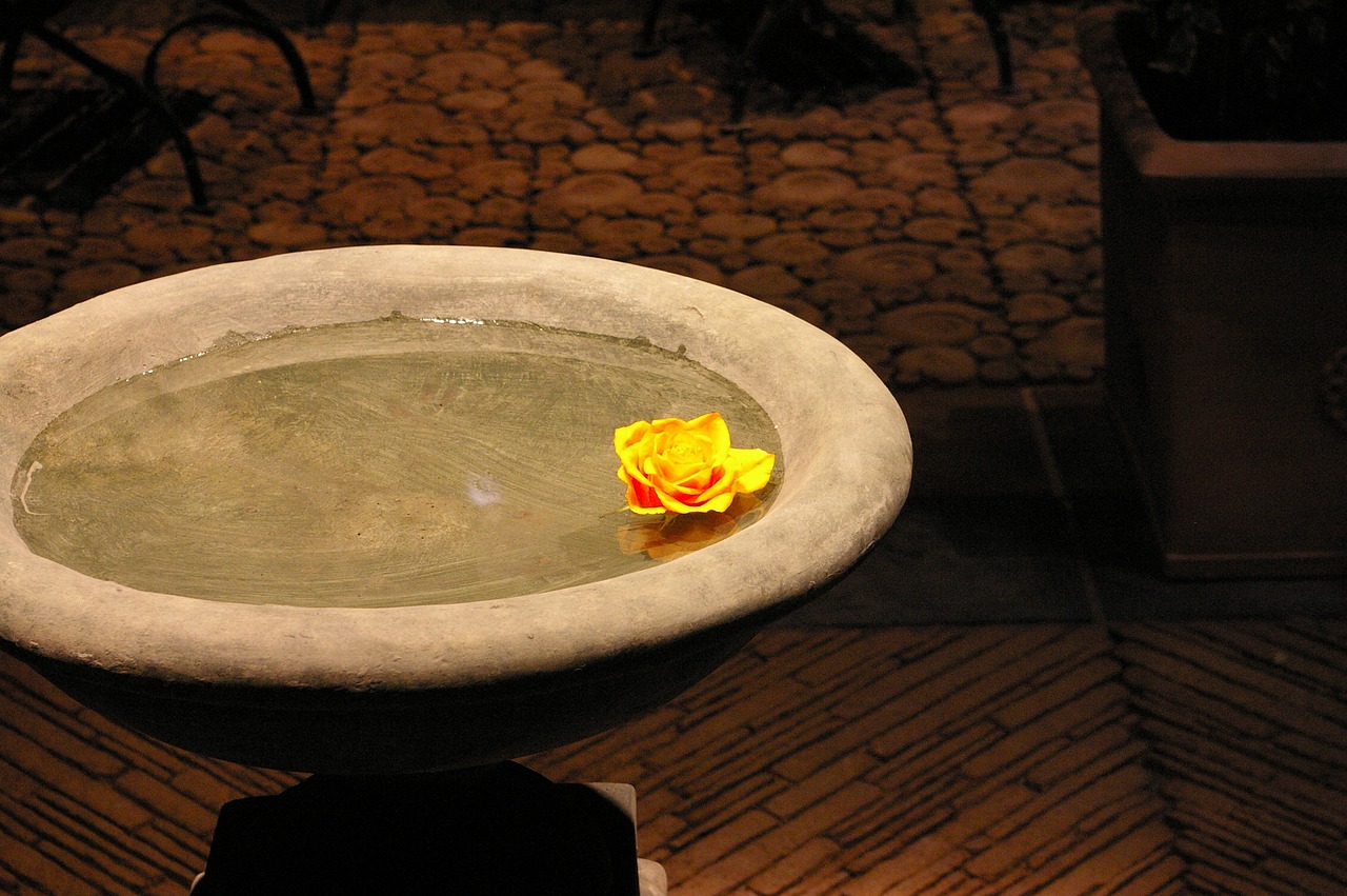Image - roses fountain water basin
