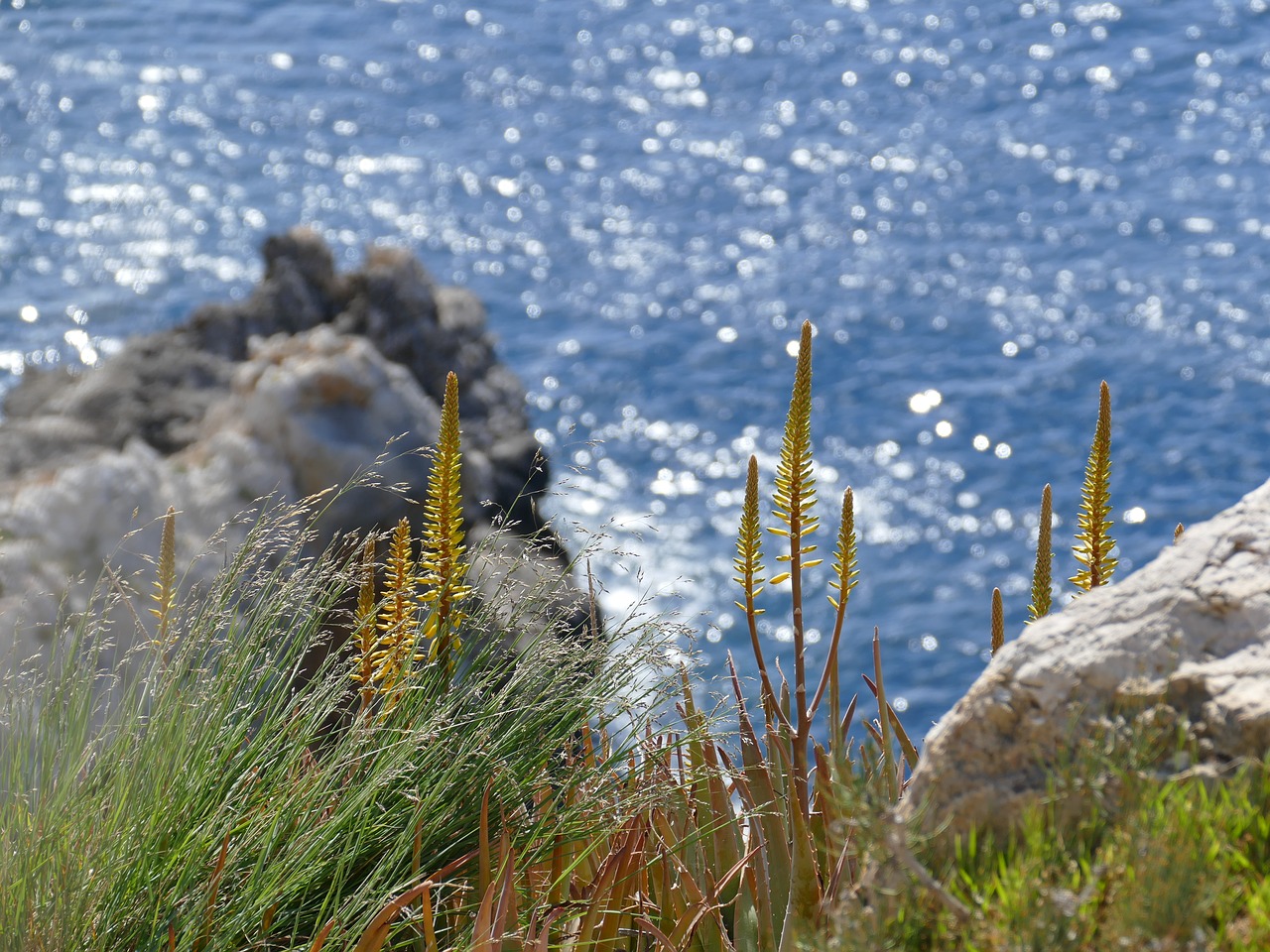 Image - rock nature mallorca mediterranean