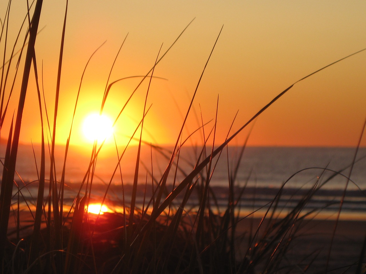 Image - sunrise beach maine grass orange