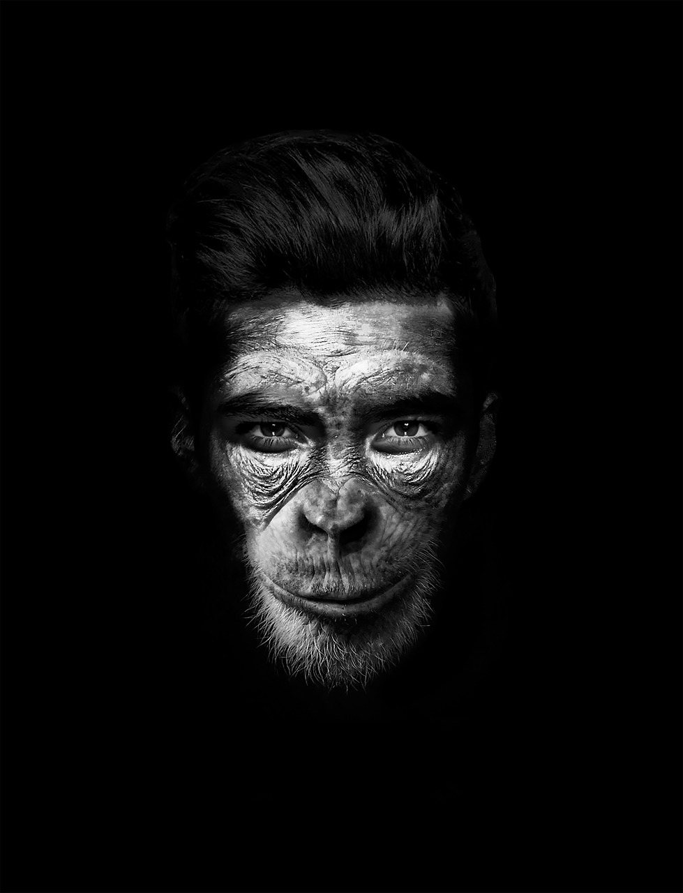 Image - man mono hombremono chimpanzee