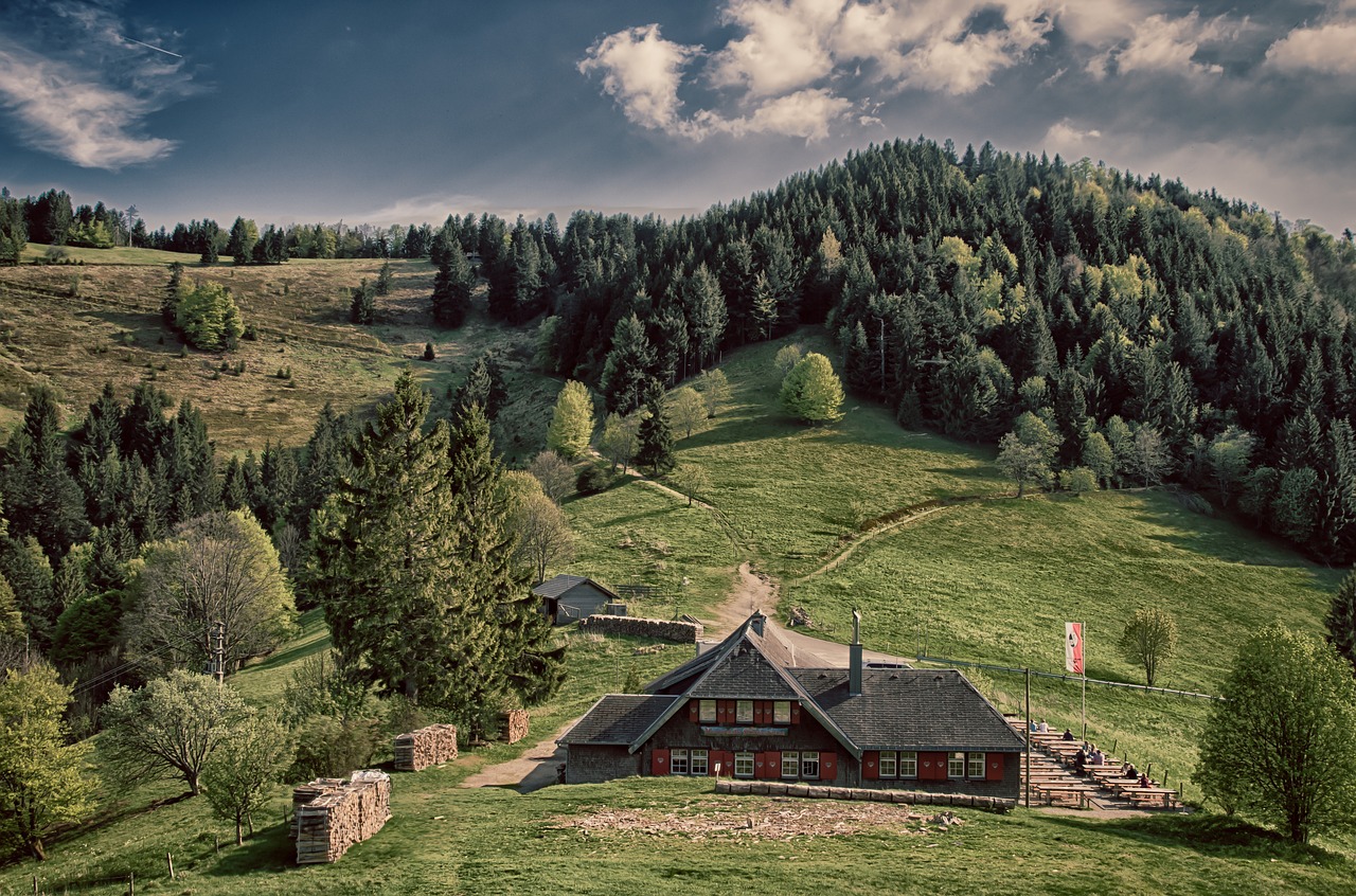 Image - alm black forest abendstimmung