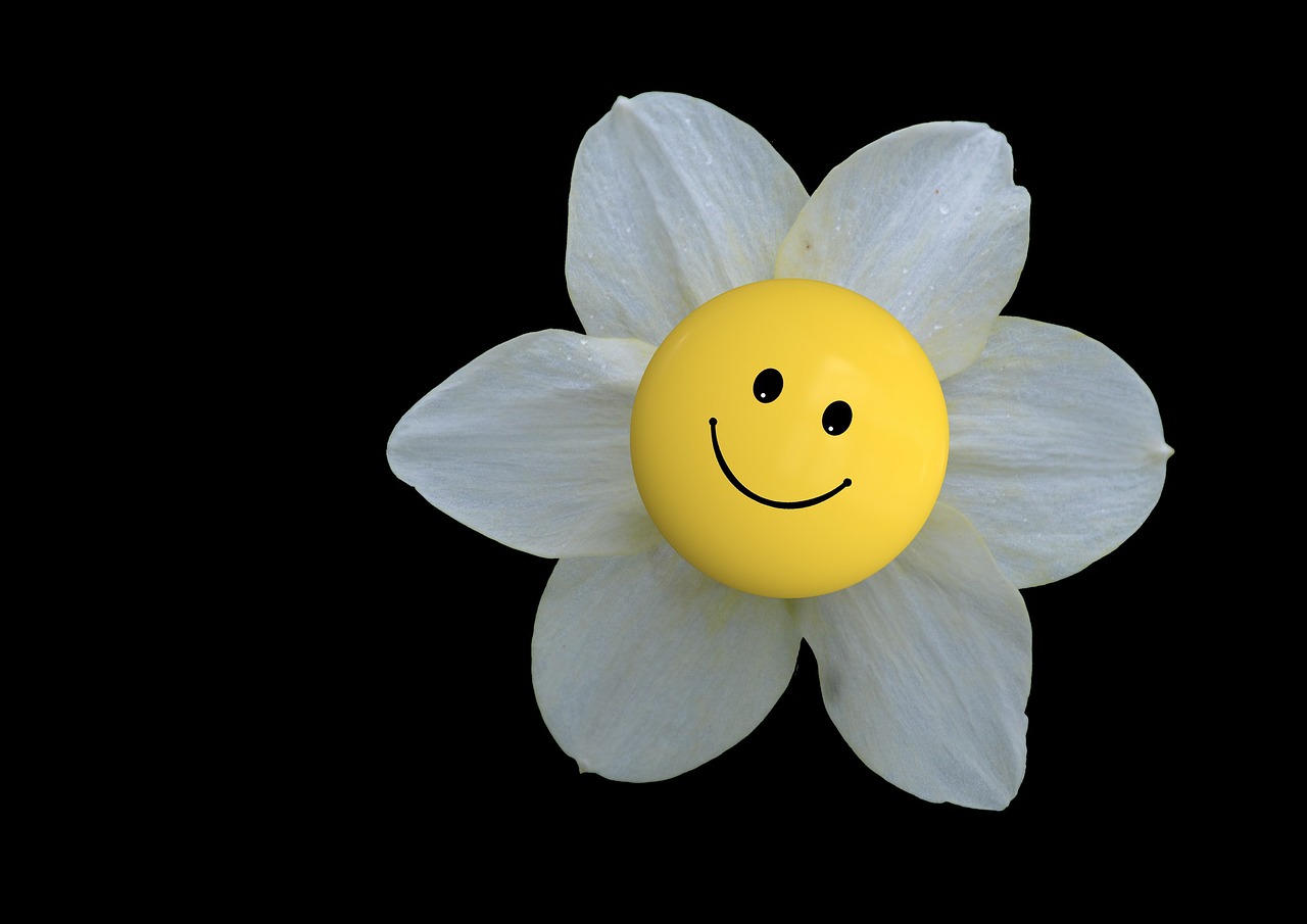 Image - blossom bloom flower smiley