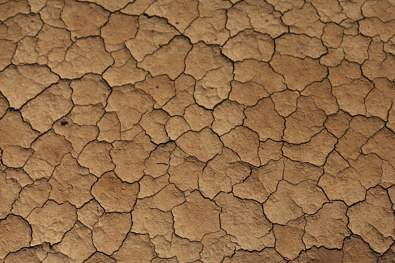 Image - sand desert stone pebble wind