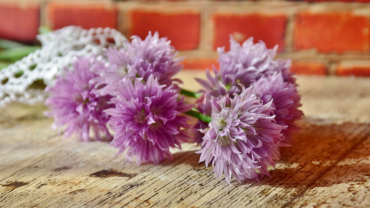 Image - chives blossom bloom chive flowers