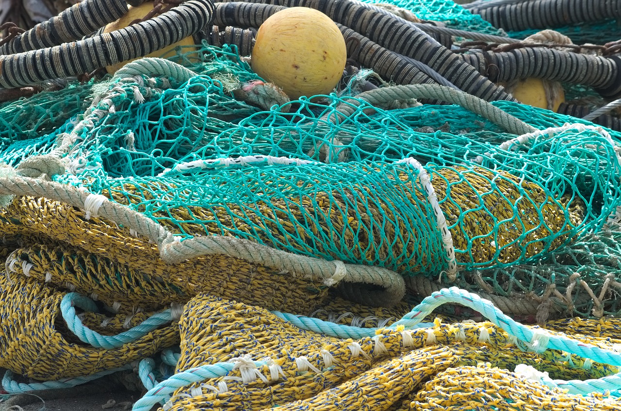 Image - fishing nets fish meshes of nets