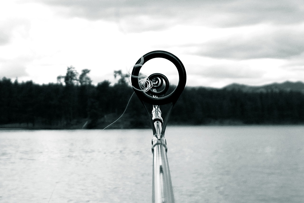 Image - fishing pole lake black hills