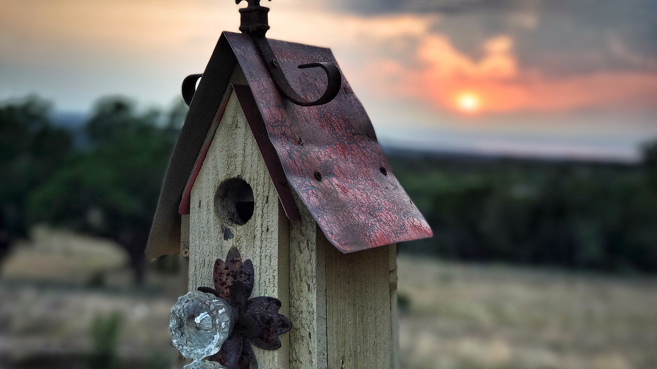 Image - bird house birdhouse nature sunset