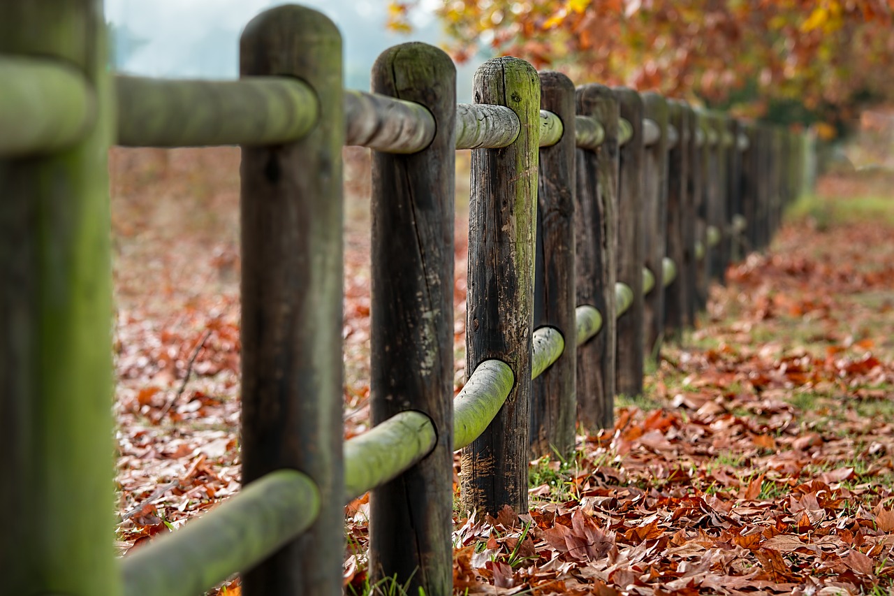 Image - fence posts autumn leaves