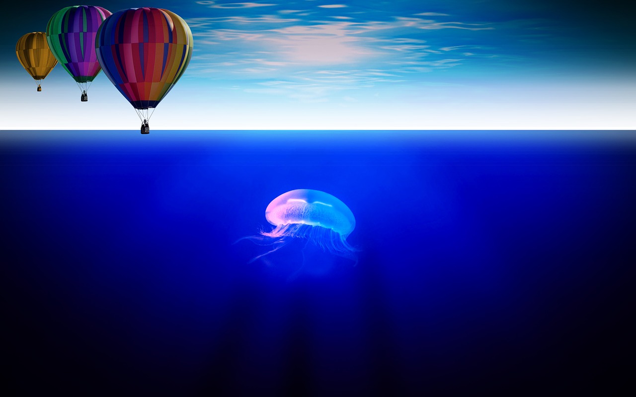 Image - balloon sea jellyfish wide deep