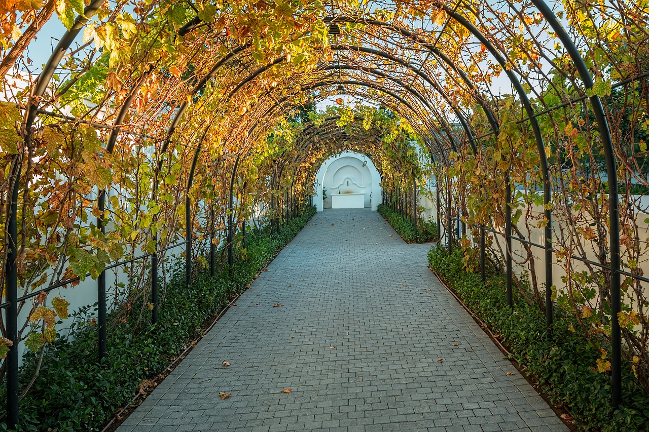 Image - vineyard vines grapes archway