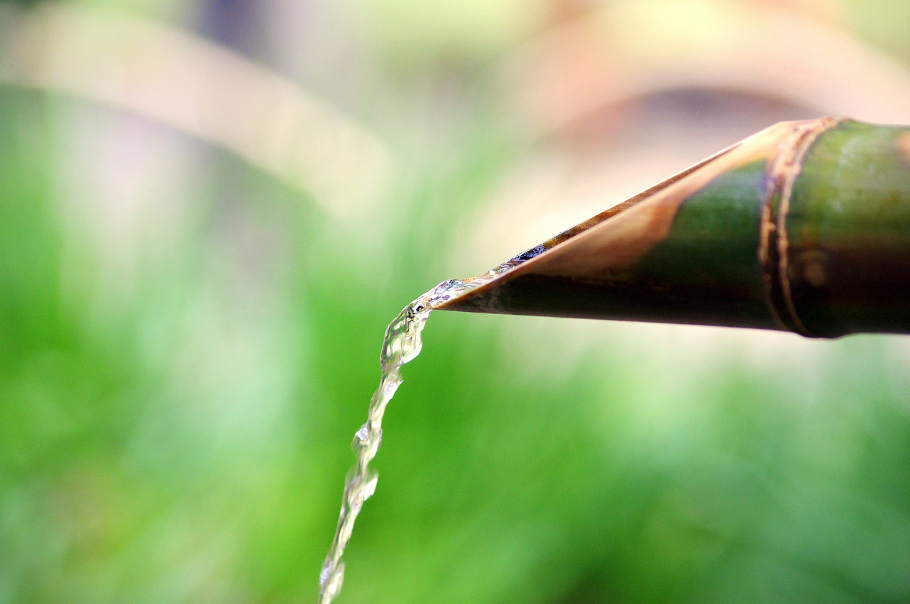 Image - summer water japan green antique