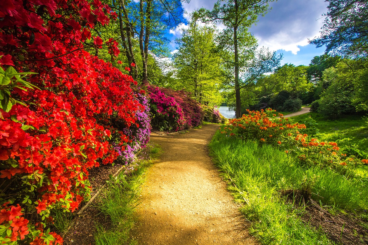 Image - park virginia water flowers spring