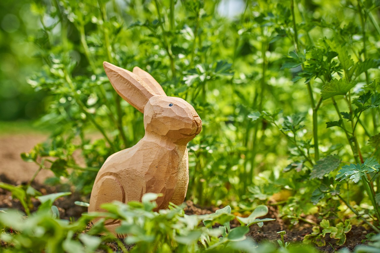 Image - garden hare parsley rabbit cute