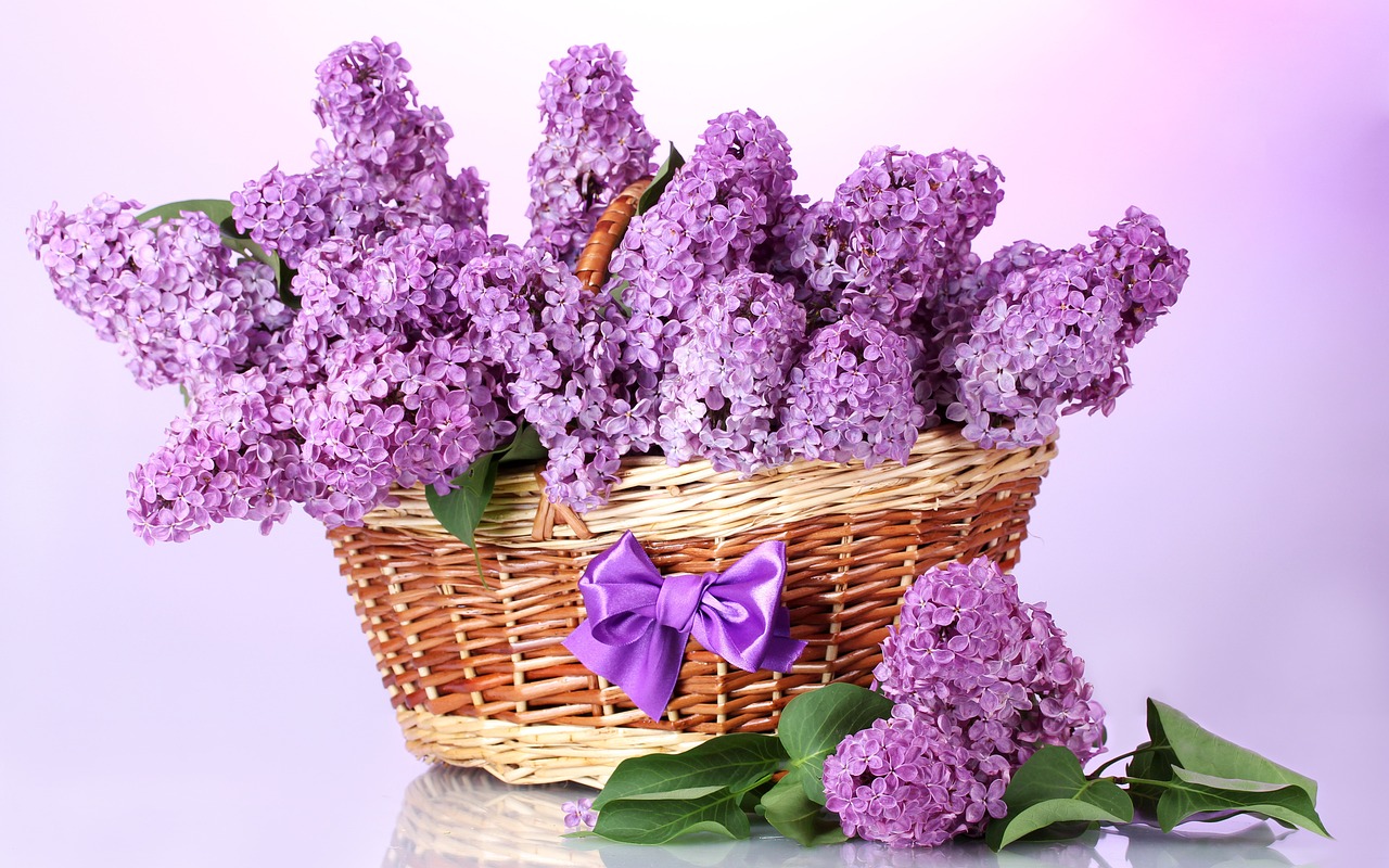 Image - basket lilac bow