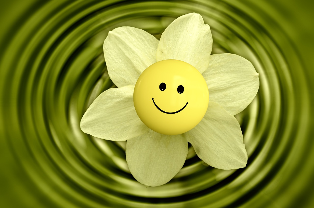 Image - blossom bloom flower smiley