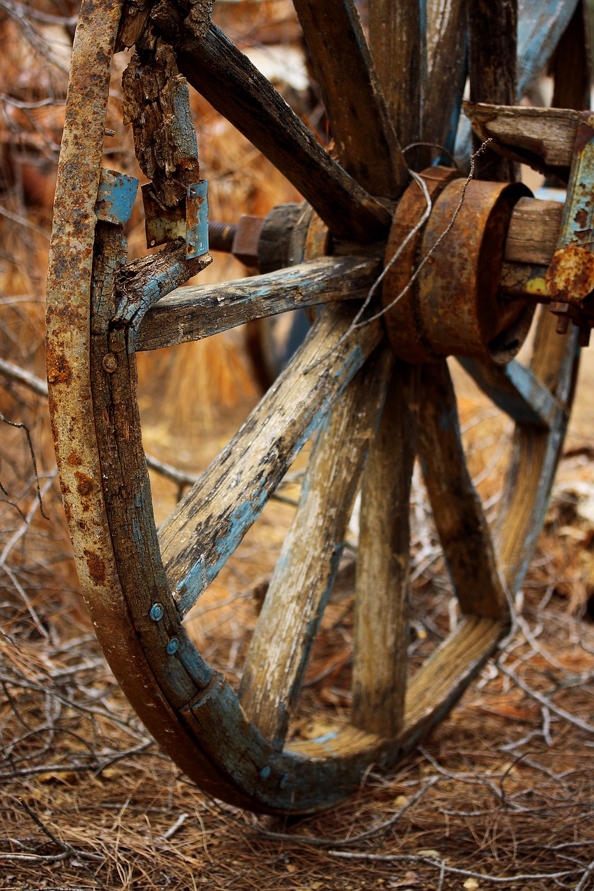 Image - wheel wood fibre boards old circle