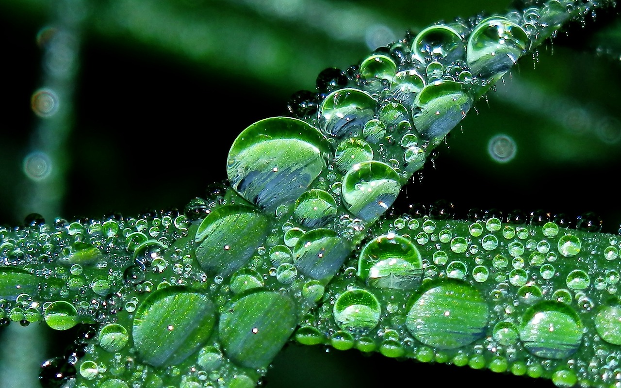 Image - water drops water drop liquid