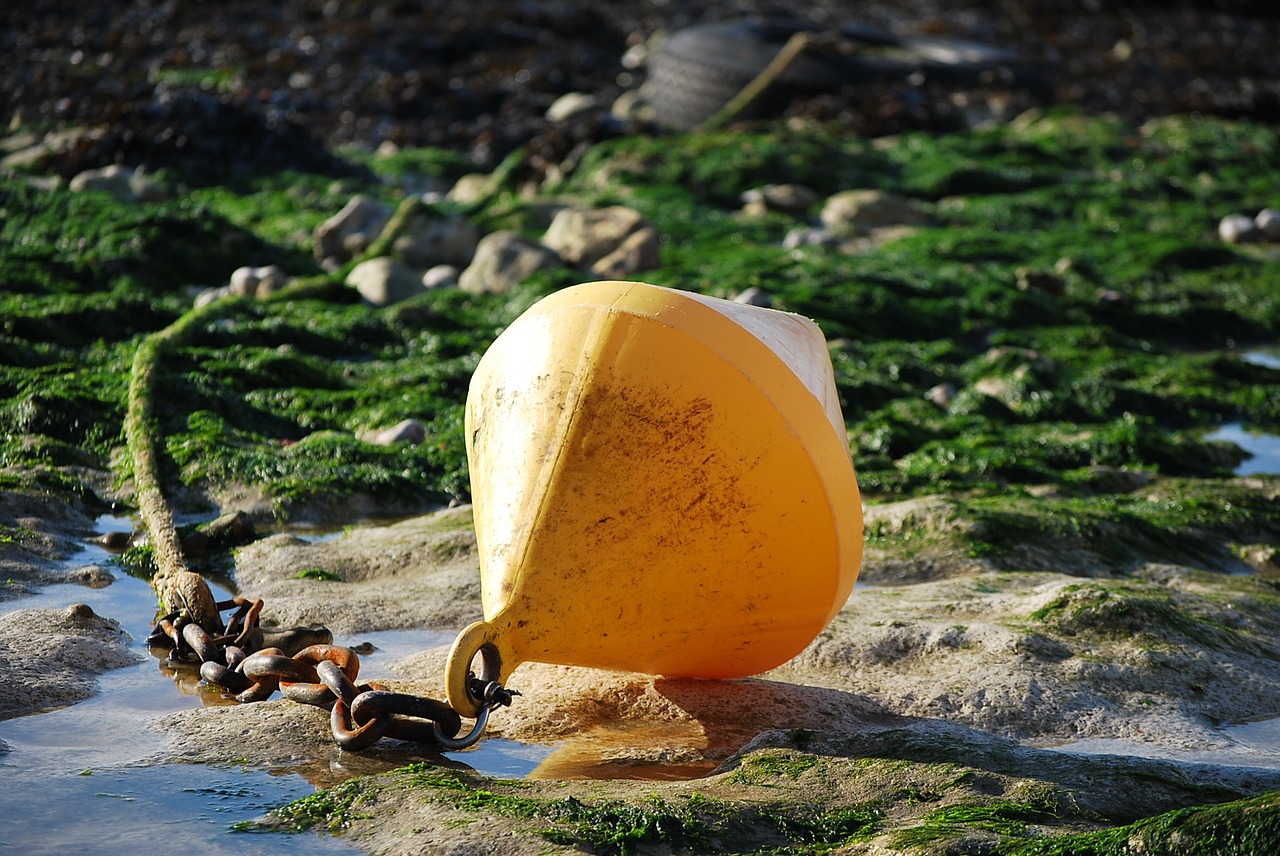 Image - buoy yellow coast beach necklace