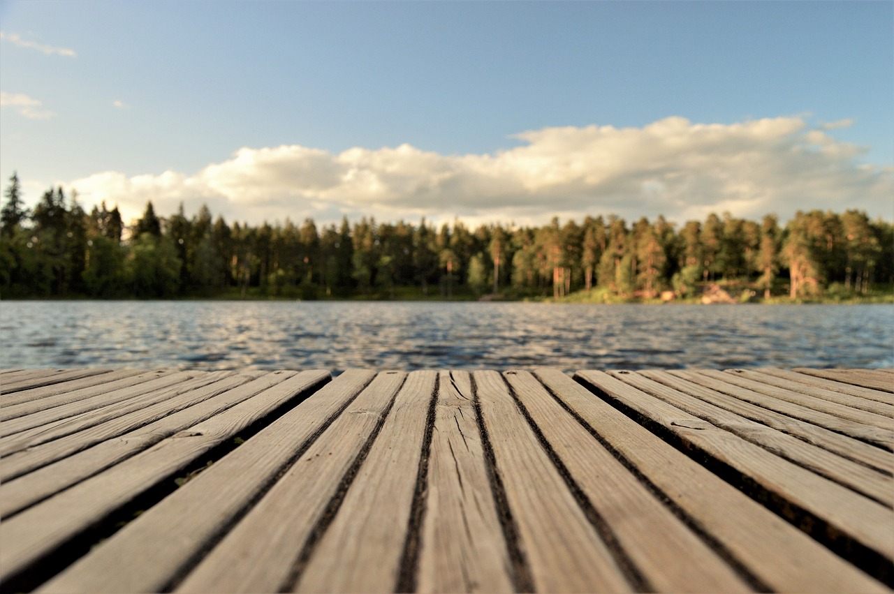 Image - bridge focus water lake forest