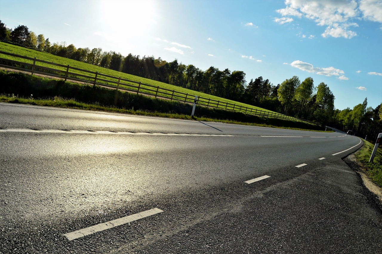 Image - drive road summer forest tree