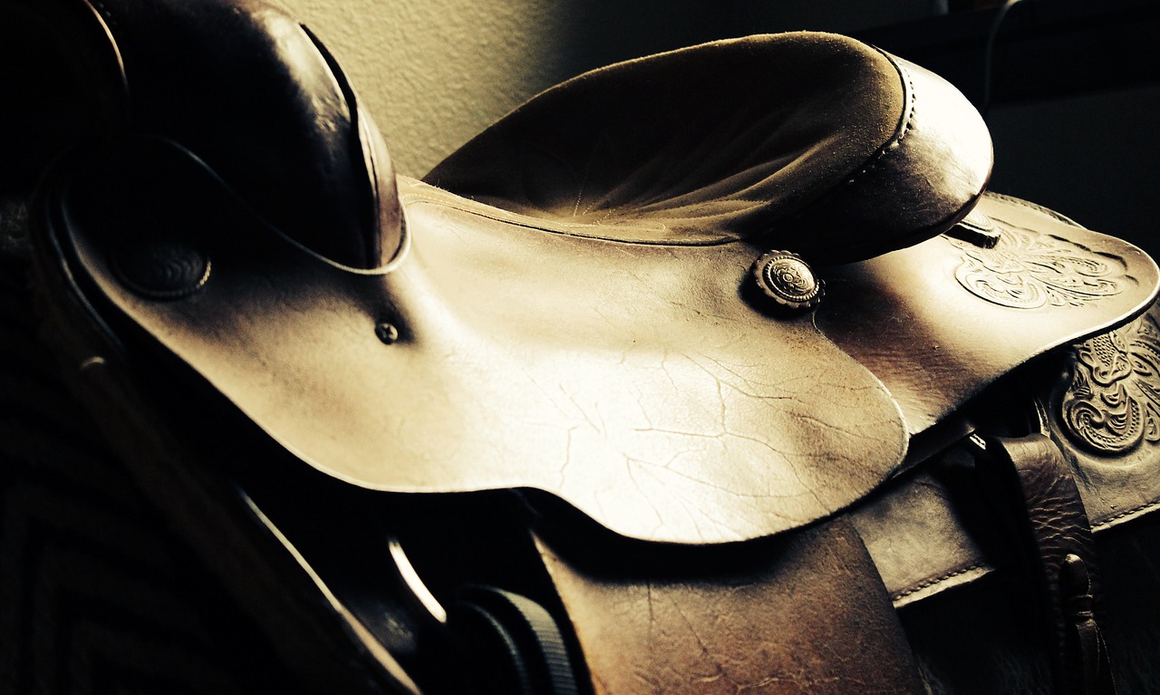 Image - saddle western horse leather west