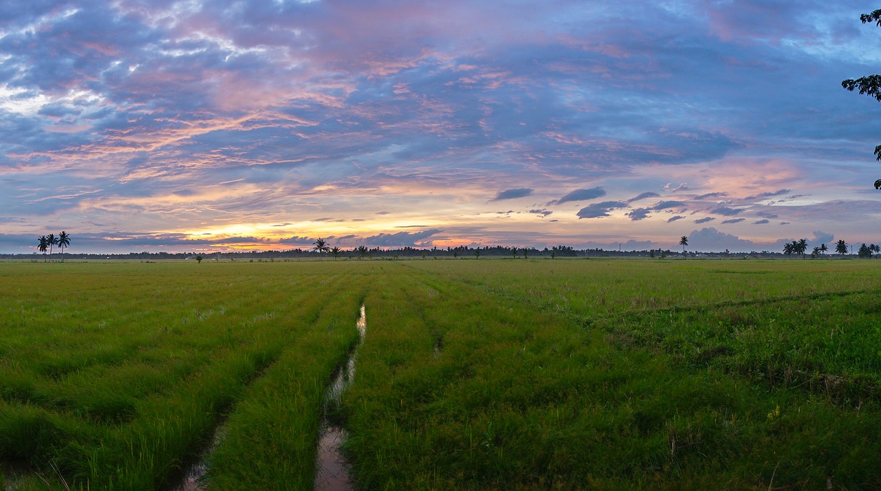 Image - landscape sunset sky sun alpha