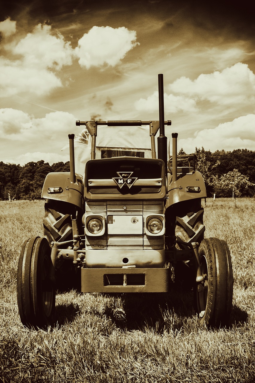 Image - tractor oldtimer massey ferguson