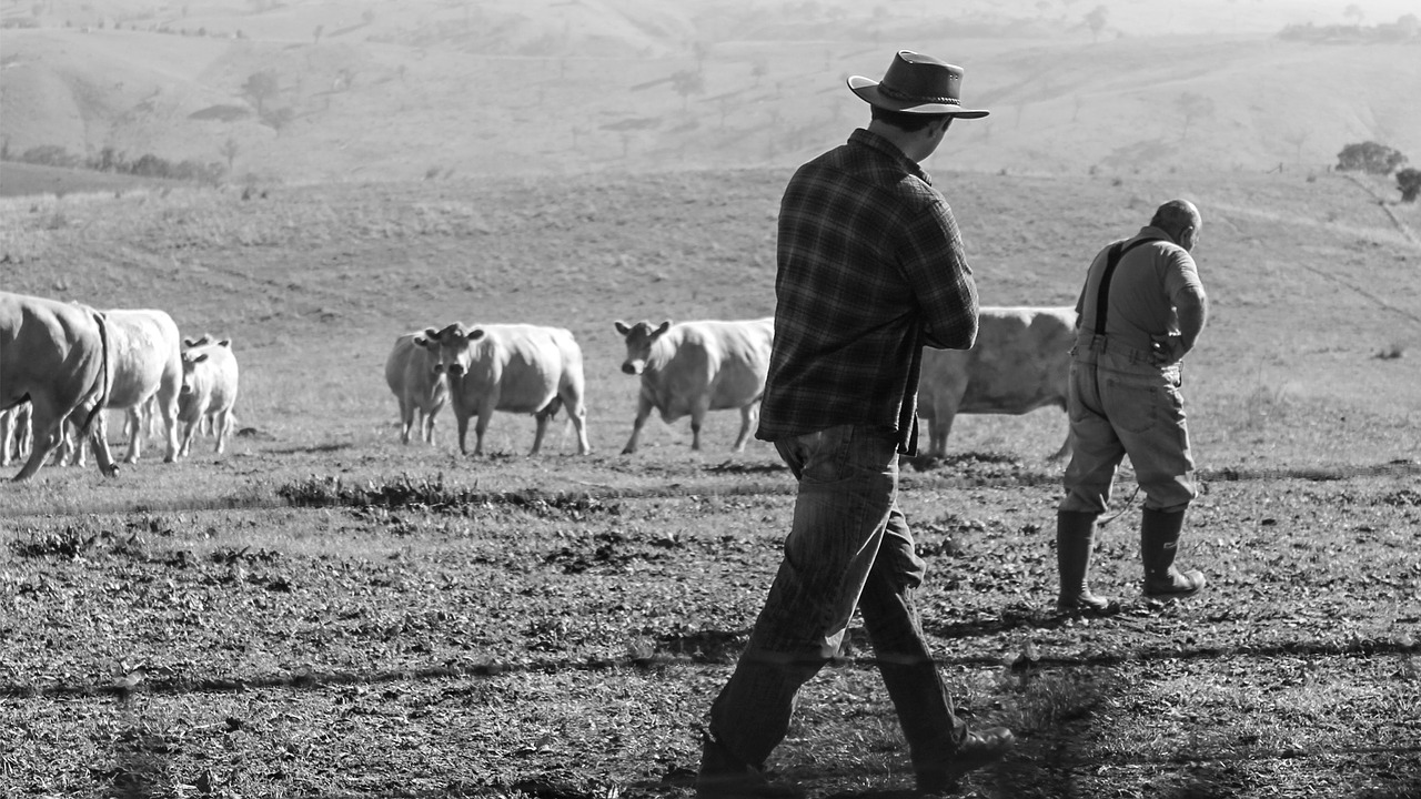 Image - farmers farm farming rural field