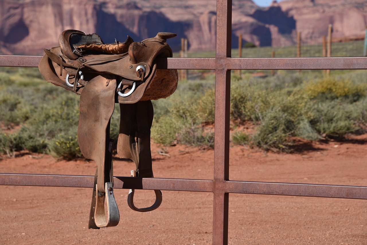 Image - cowboy saddle saddle arizona