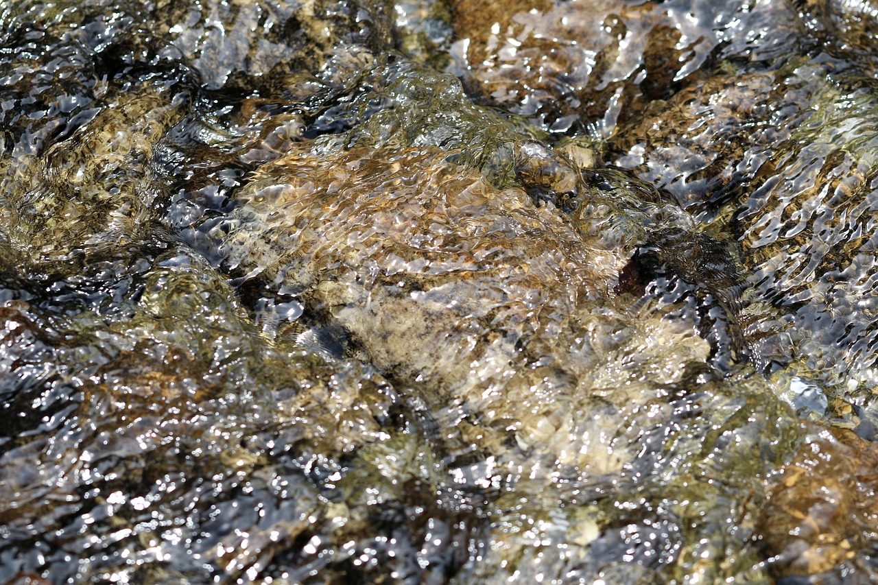 Image - the creek water stone cool nature