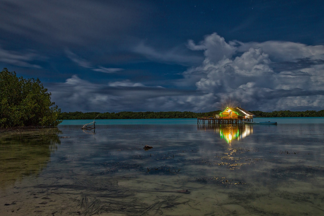 Image - lagoon night view the water shed