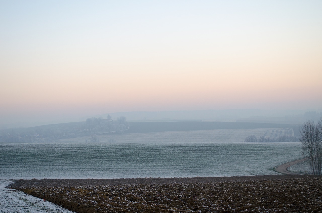 Image - wintry fog ripe hoarfrost